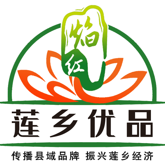 中国数字品牌馆